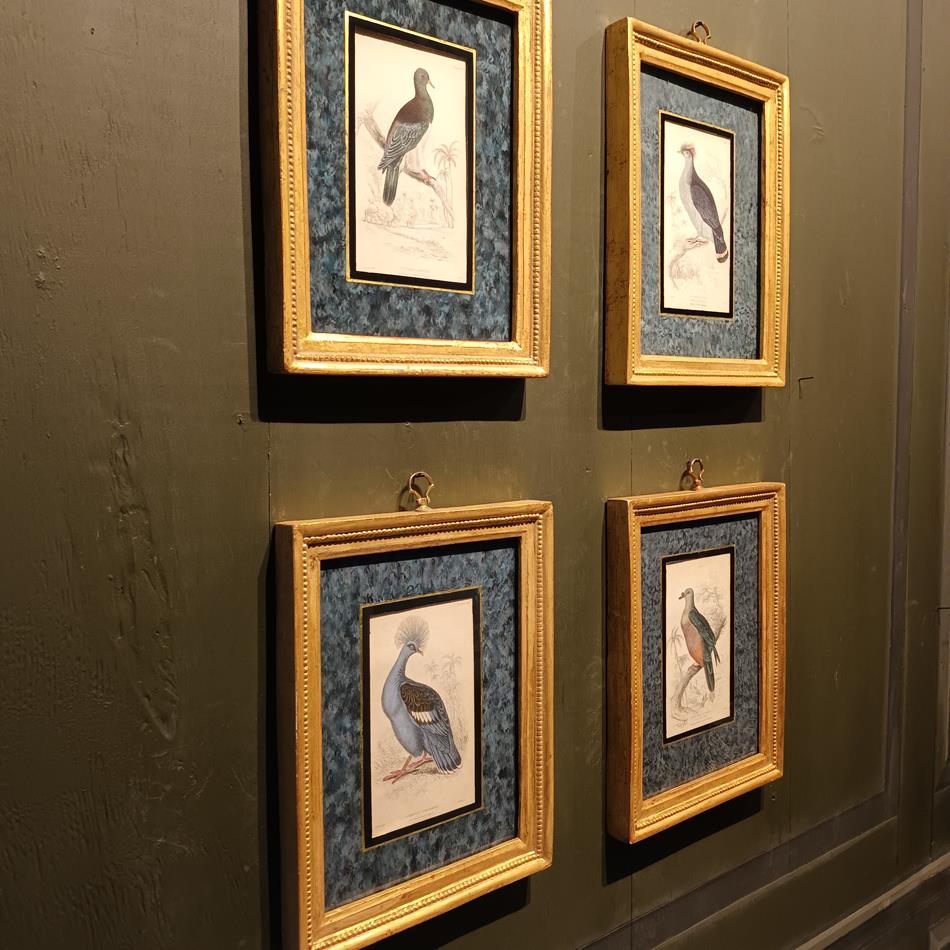 A Set Of 19th Century Framed Bird Engravings By Edward Lear