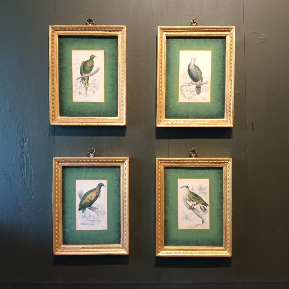 A Set Of 19th Century Framed Bird Engravings By Edward Lear