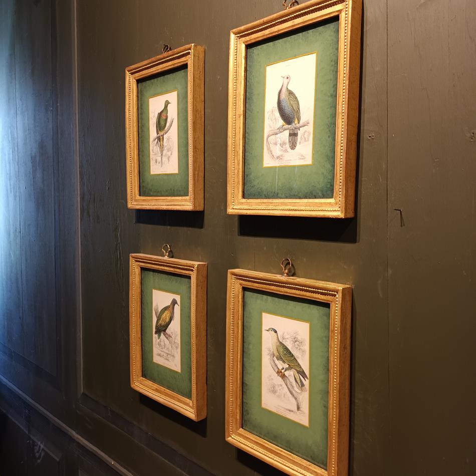 A Set Of 19th Century Framed Bird Engravings By Edward Lear