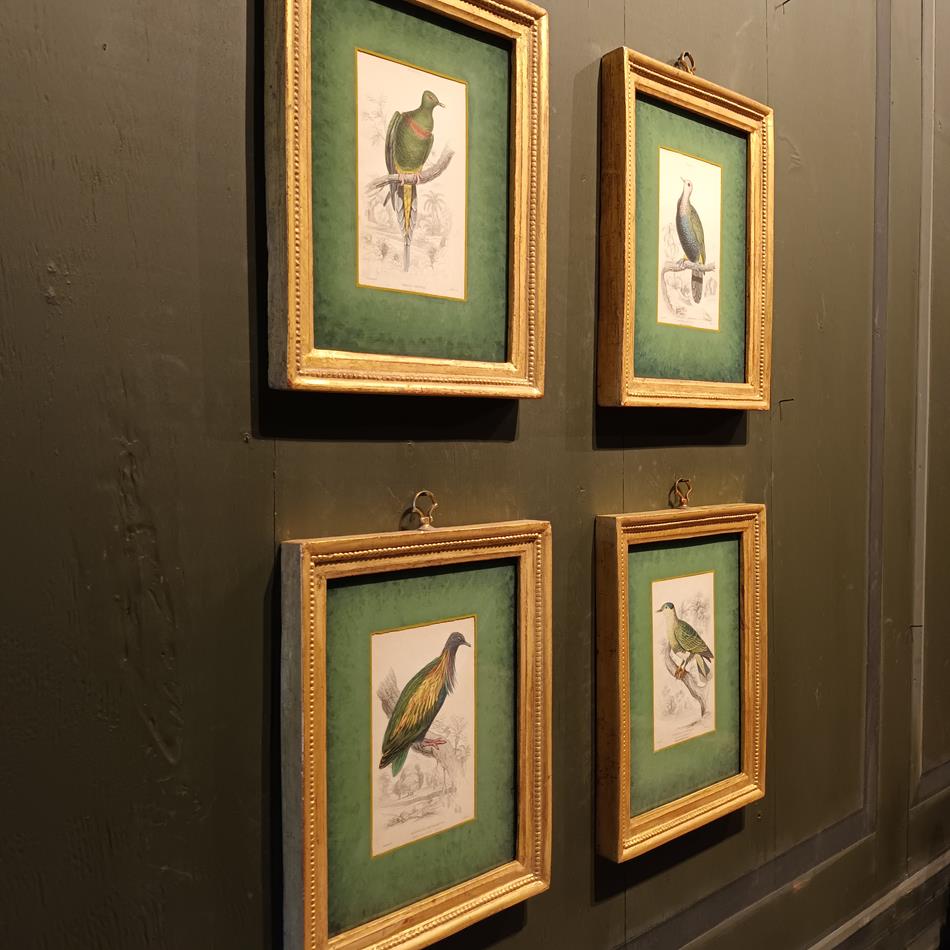 A Set Of 19th Century Framed Bird Engravings By Edward Lear