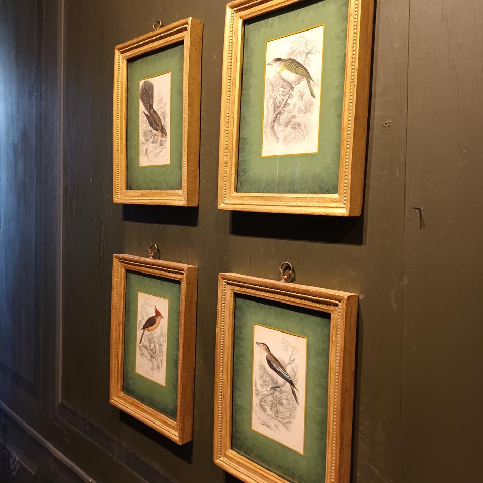 A Set Of 19th Century Framed Bird Engravings By William Swainson