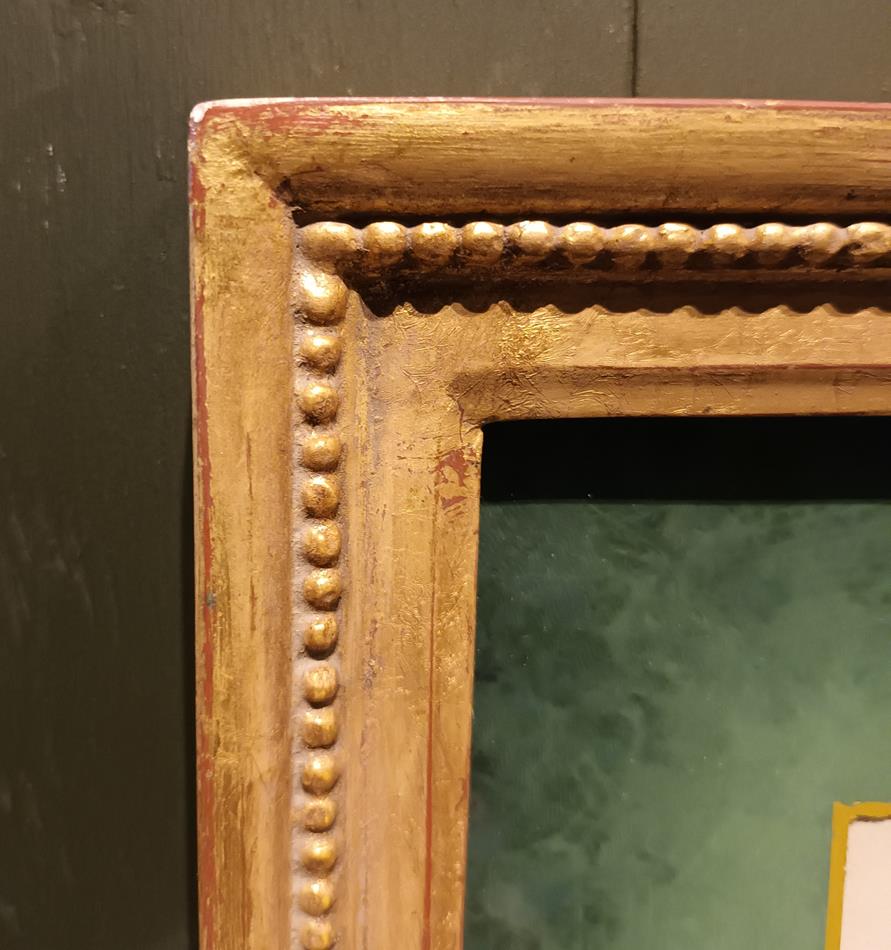 A Set Of 19th Century Framed Bird Engravings By William Swainson