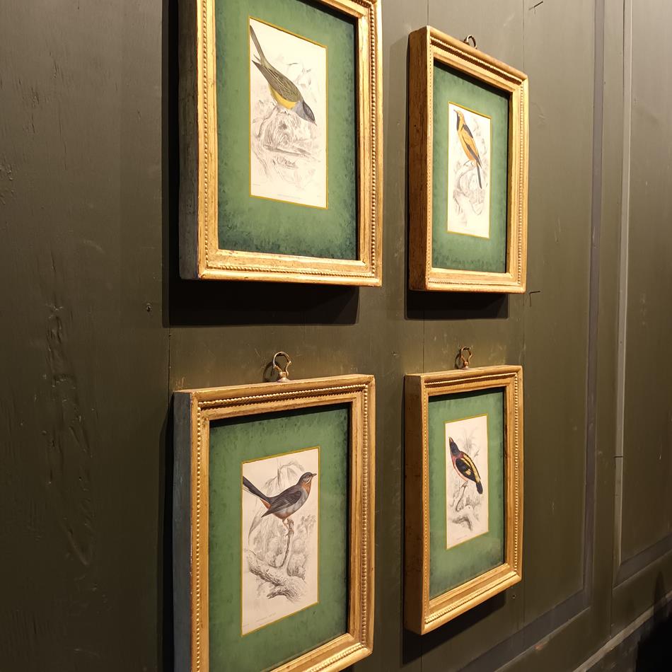 A Set Of 19th Century Framed Bird Engravings By William Swainson