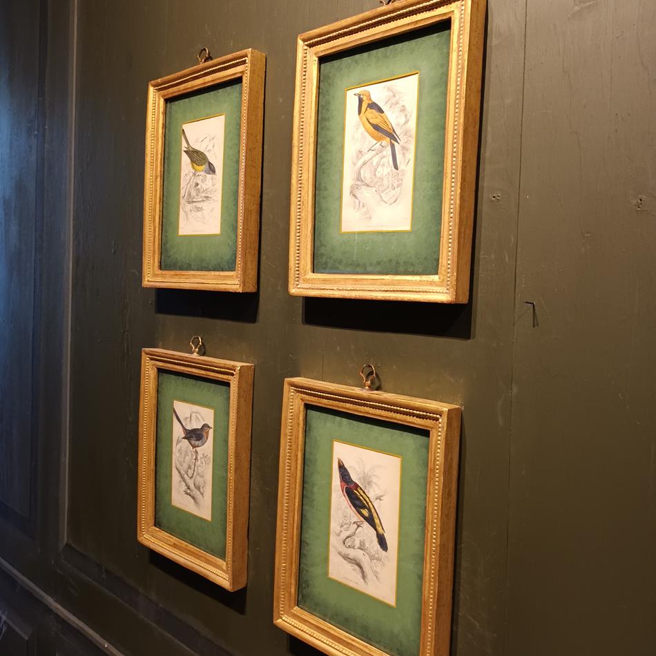 A Set Of 19th Century Framed Bird Engravings By William Swainson