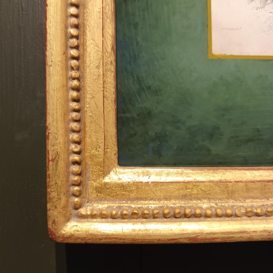 A Set Of 19th Century Framed Bird Engravings By William Swainson