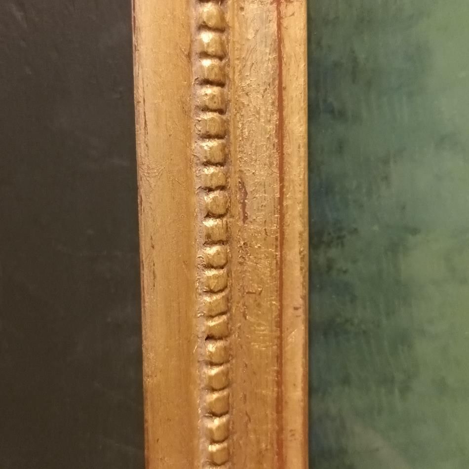 A Set Of 19th Century Framed Bird Engravings By William Swainson