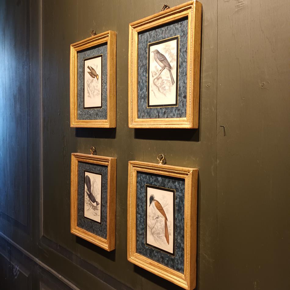 A Set Of 19th Century Framed Bird Engravings By William Swainson
