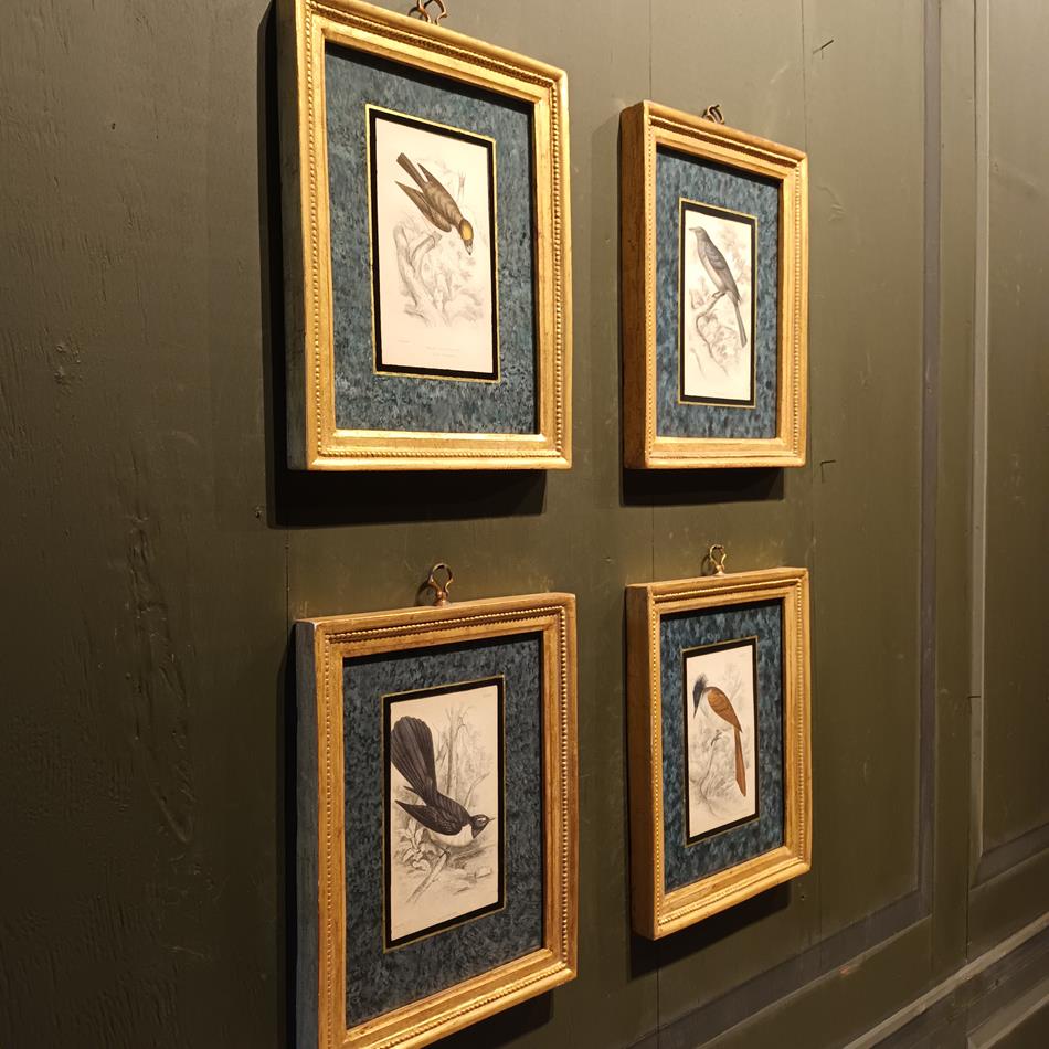 A Set Of 19th Century Framed Bird Engravings By William Swainson