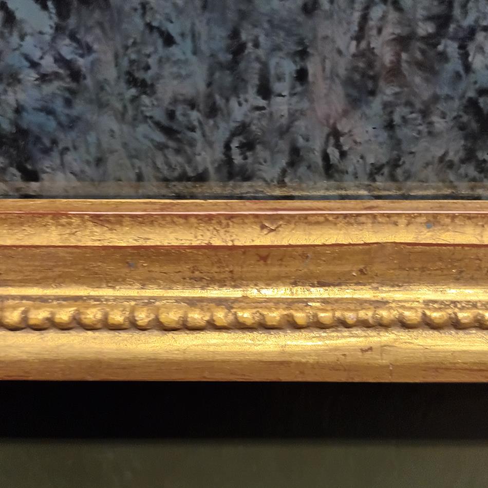 A Set Of 19th Century Framed Bird Engravings By William Swainson