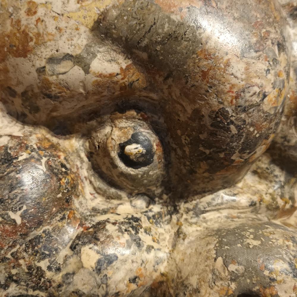 A River Beast Fountain Head
