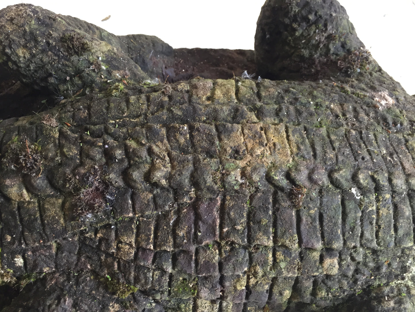 Composite Stone Crocodile