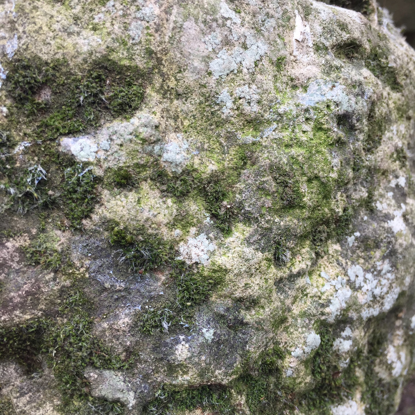 19th Century Bath Stone Finial