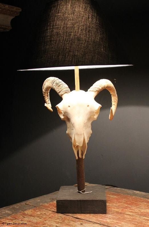 Ram Head Skull Lamp