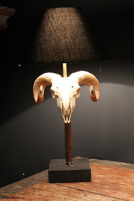 Ram Head Skull Lamp
