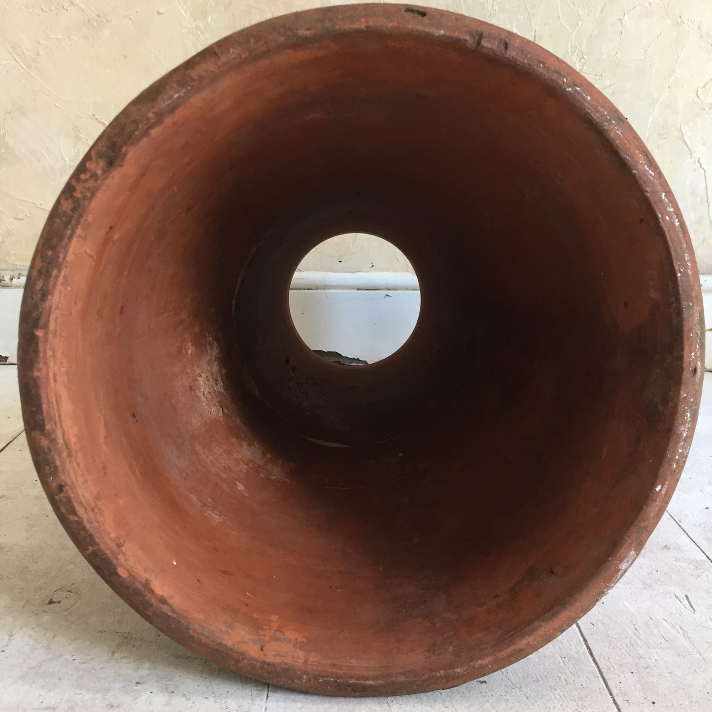 Terracotta Rhubarb Forcer