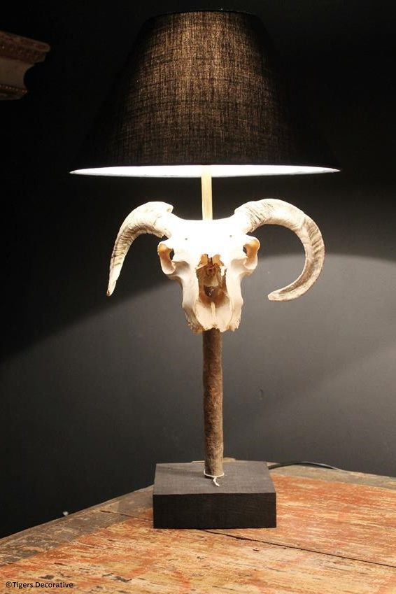 Ram Head Skull Lamp