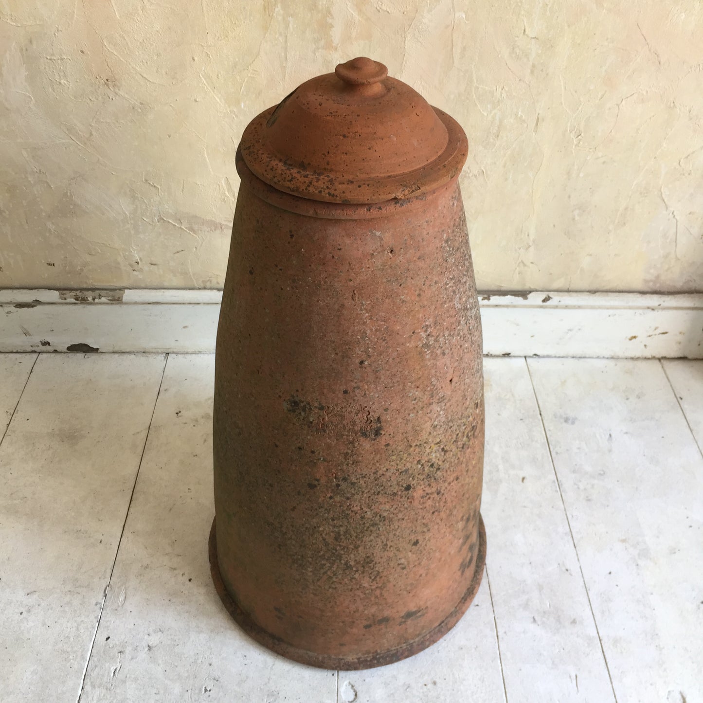 Terracotta Rhubarb Forcer
