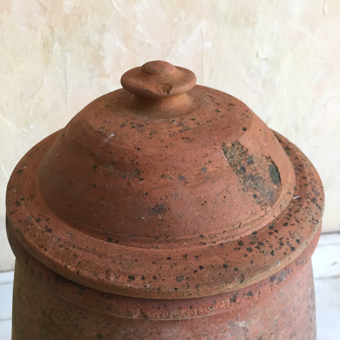 Terracotta Rhubarb Forcer