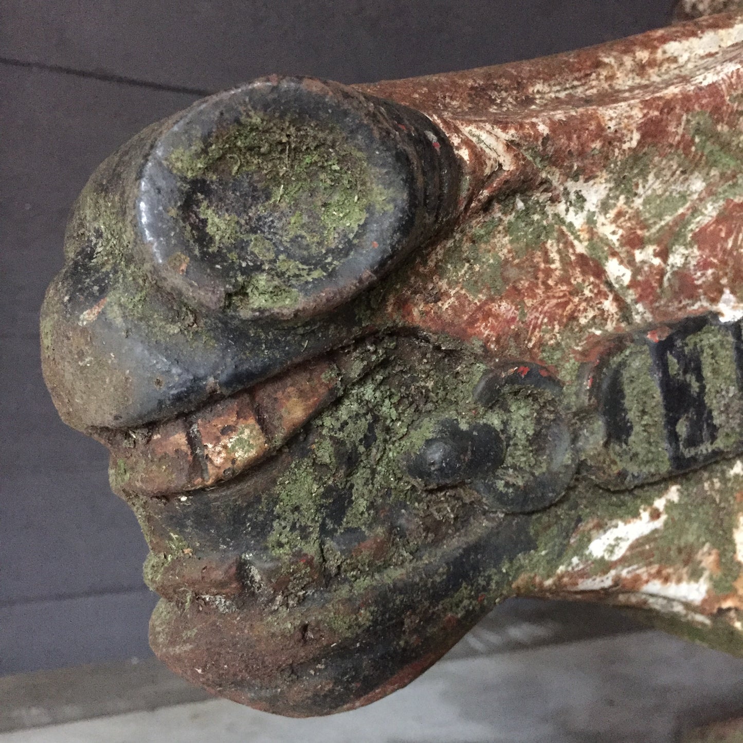 Carousel Horse's Head