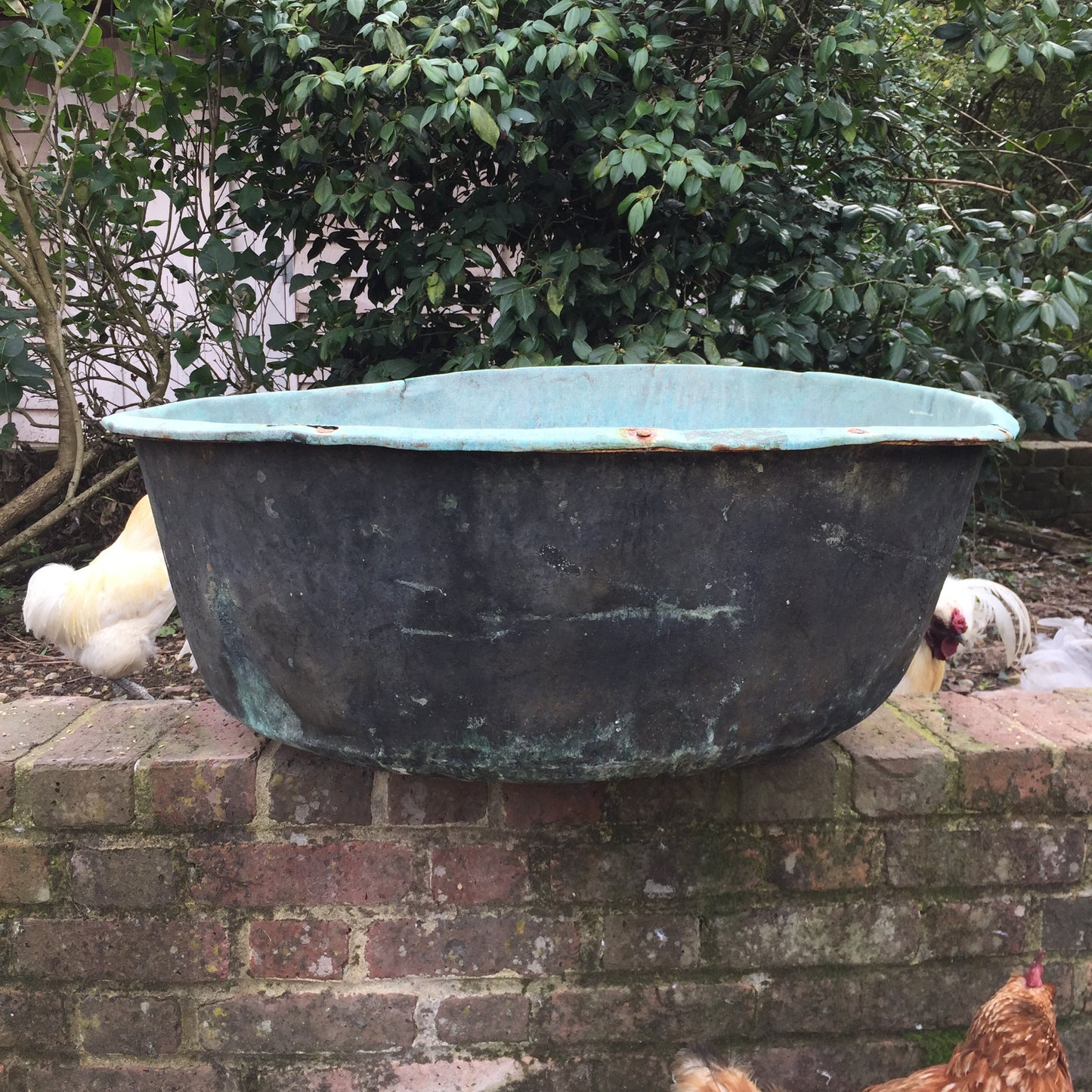 Copper Boiler