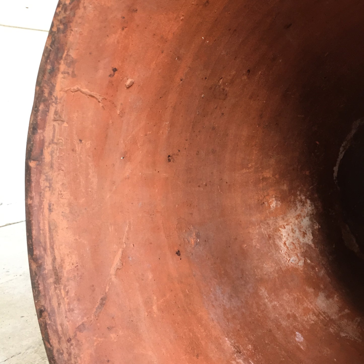 Terracotta Rhubarb Forcer