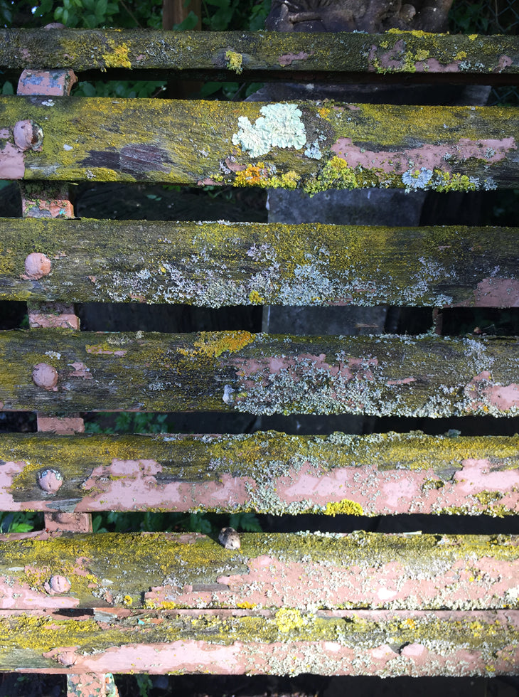 Edwardian Garden Bench