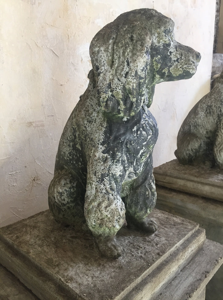 Composition Poodles
