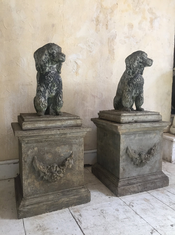 Composition Poodles