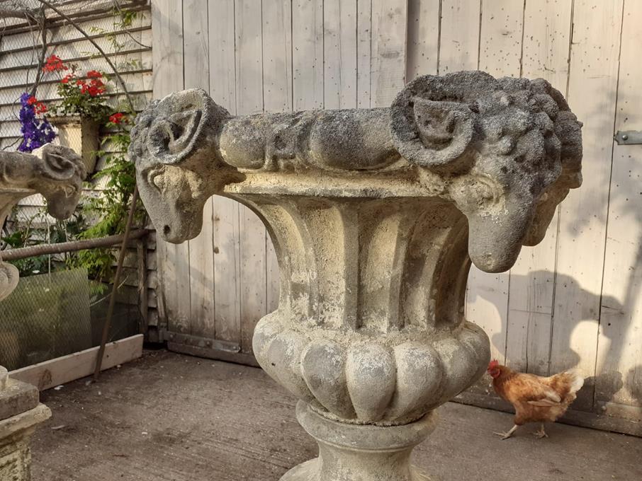 A Pair Of Rams Head Urns On Plinths