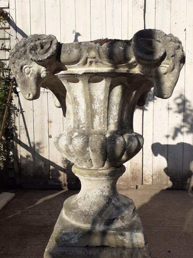 A Pair Of Rams Head Urns On Plinths