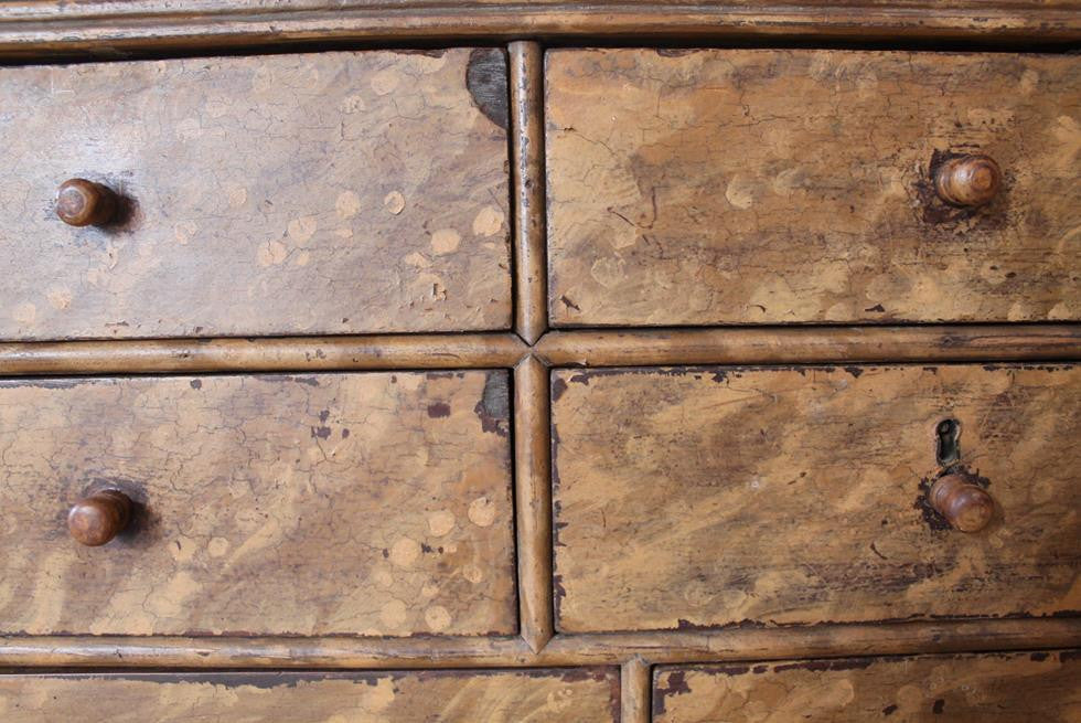 19th Century Specimen - Seed Chest