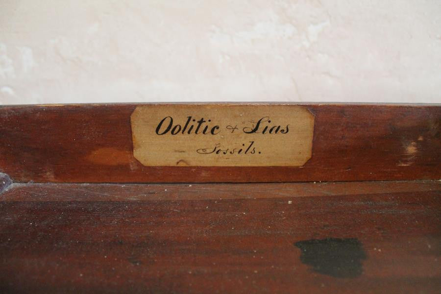 19th Century Gothic Revival Bleached Oak Sideboard