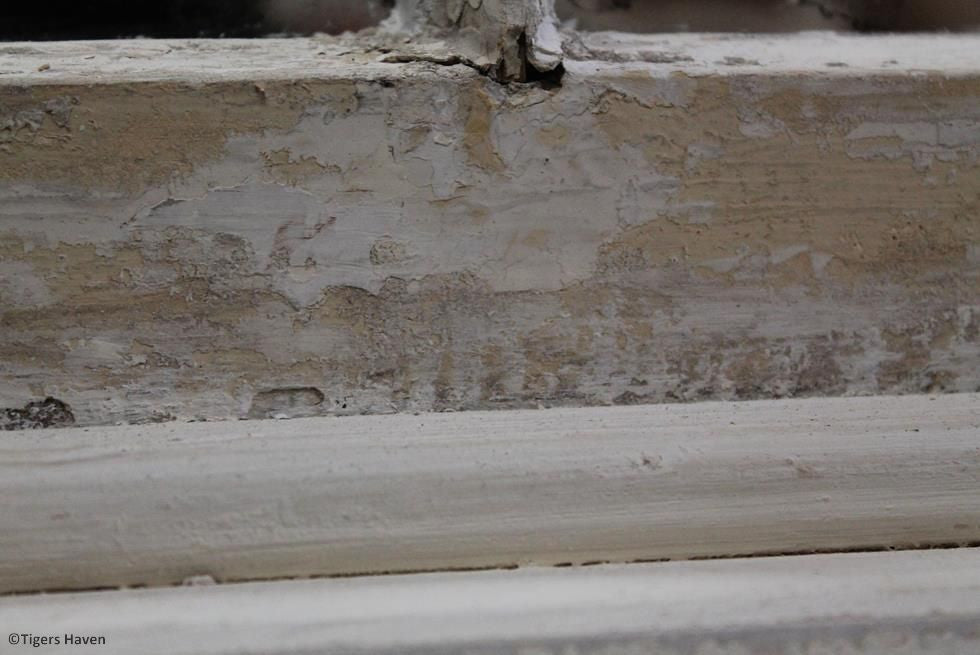Regency Sash Window Mirror