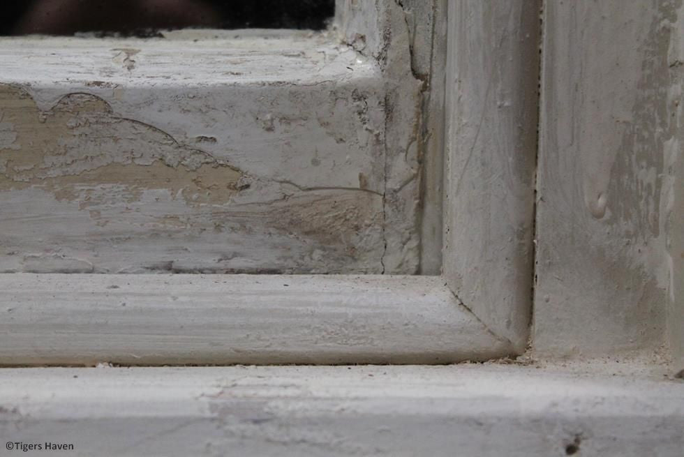 Regency Sash Window Mirror