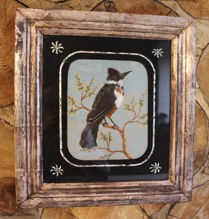 Four Feather Bird Pictures