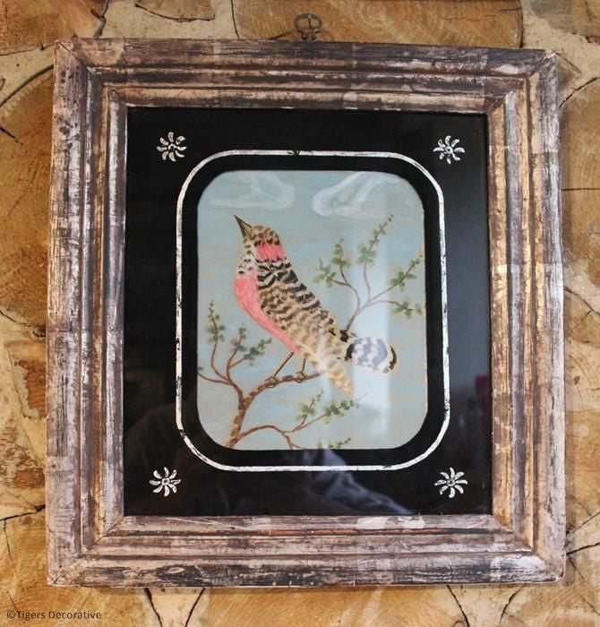 Four Feather Bird Pictures