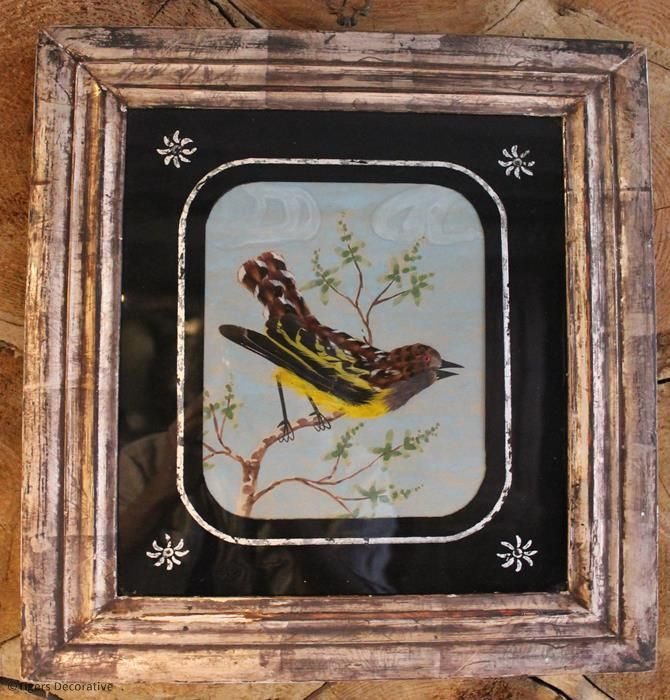 Four Feather Bird Pictures