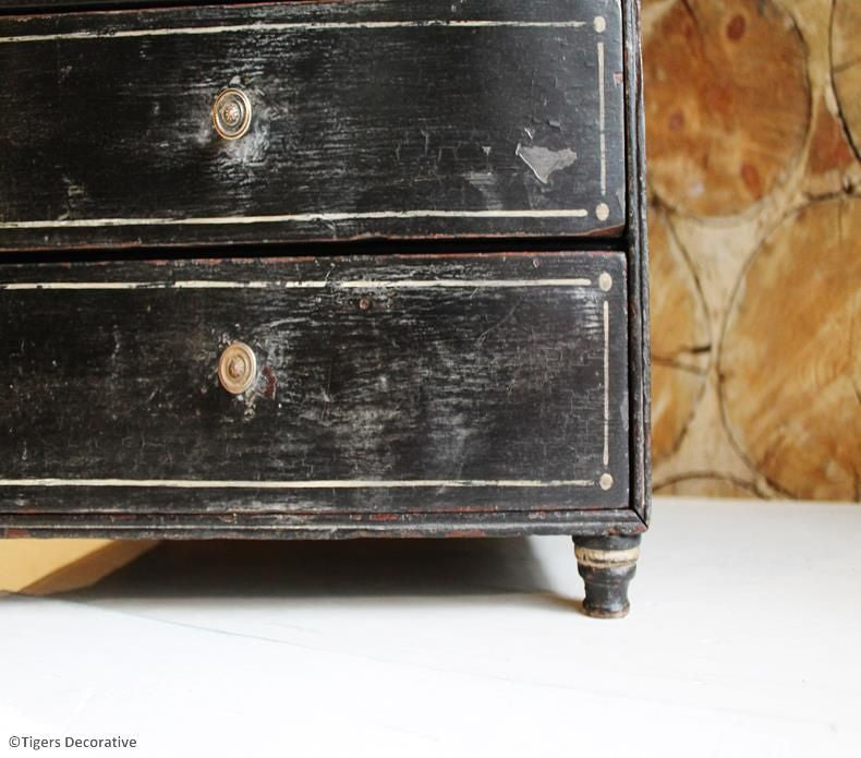 19th Century Specimen Cabinet