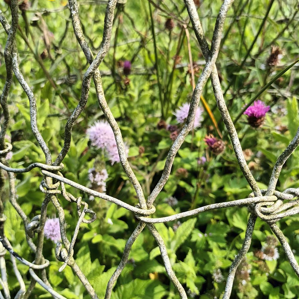A Pair Of Salmon Traps