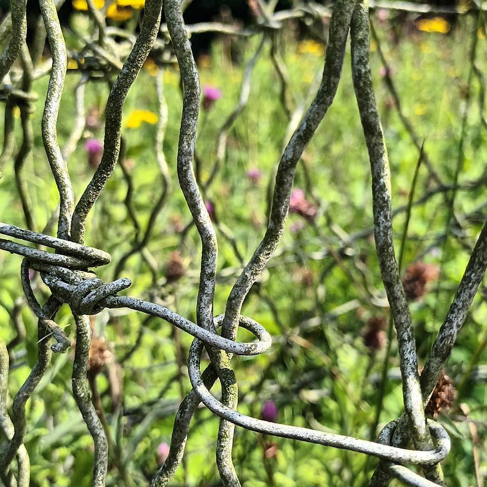 A Pair Of Salmon Traps