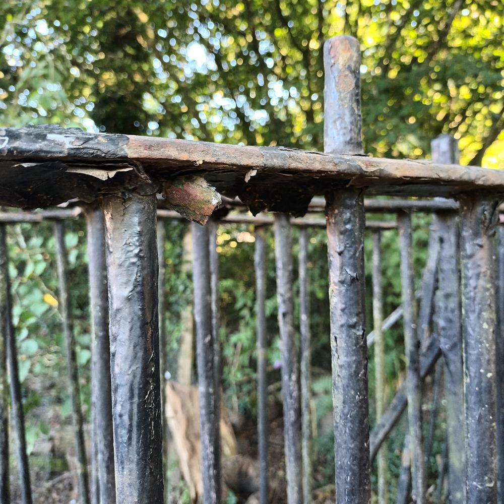 A Run Of Victorian Iron Railings