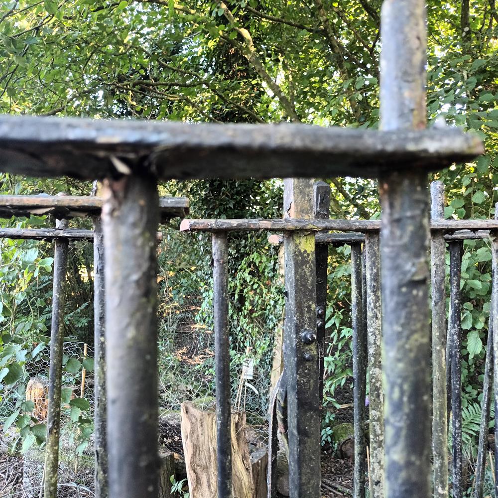 A Run Of Victorian Iron Railings