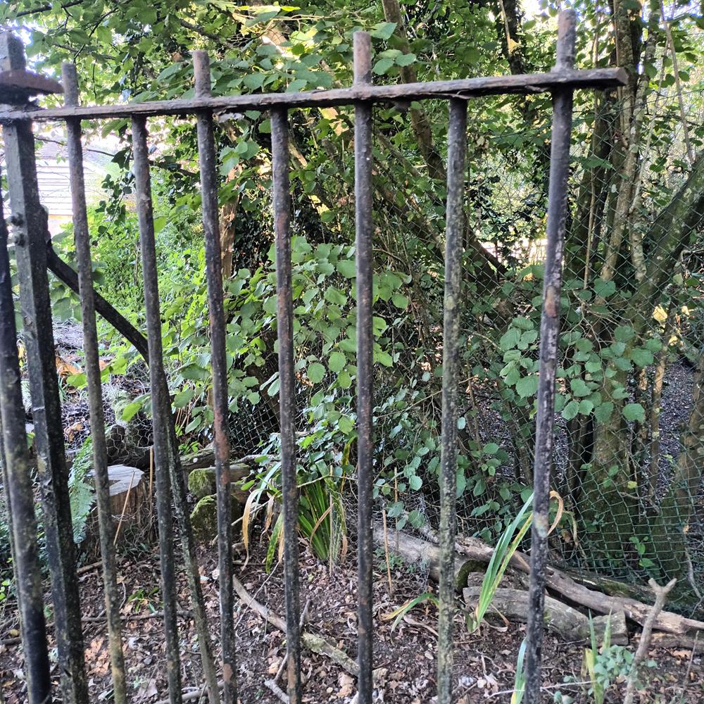 A Run Of Victorian Iron Railings