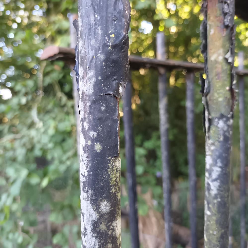 A Run Of Victorian Iron Railings