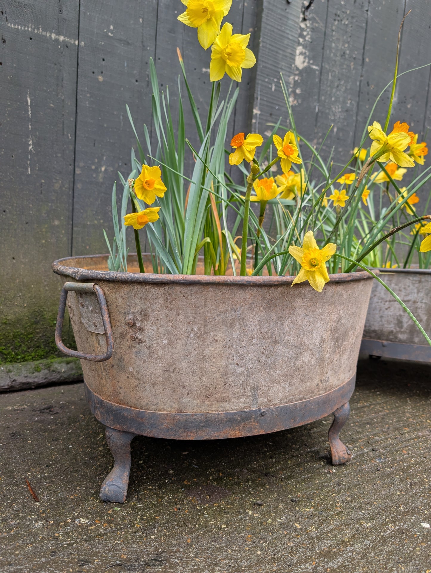 A Pair Of Oval Garden Planters