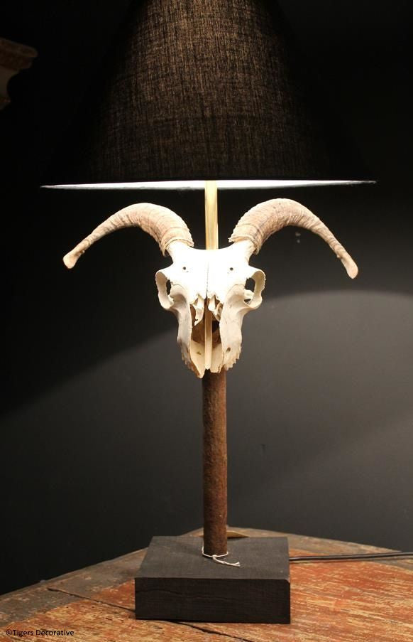 Ram Head Skull Lamp
