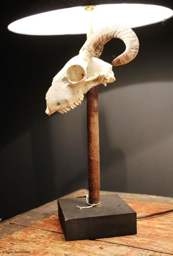 Ram Head Skull Lamp
