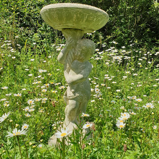Bird Bath
