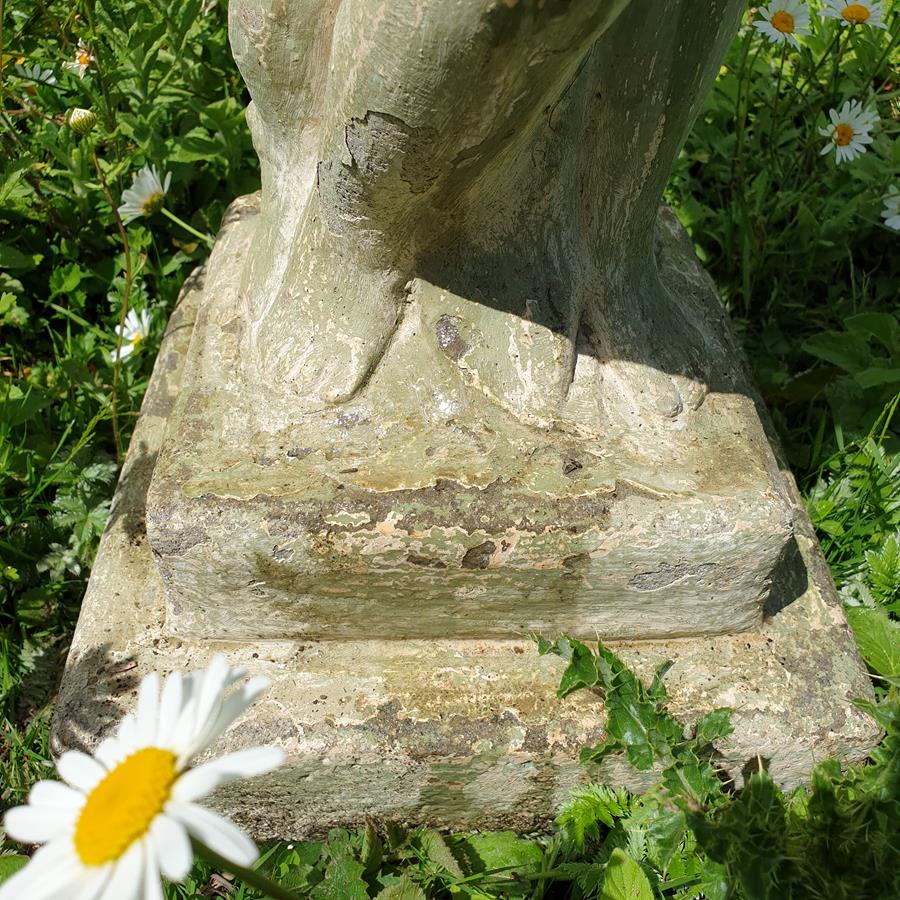 Bird Bath