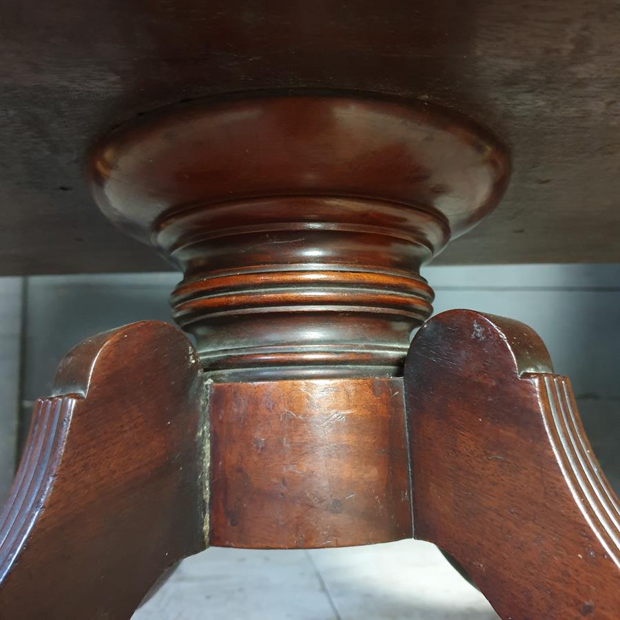 Mahogany Canterbury